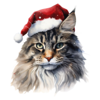 ai generado Maine mapache gato vistiendo un Papa Noel sombrero. ai generado imagen png