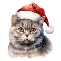 ai genererad brittiskt kort hår katt bär en santa hatt. ai genererad bild png