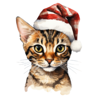 ai generado Bengala gato vistiendo un Papa Noel sombrero. ai generado imagen png