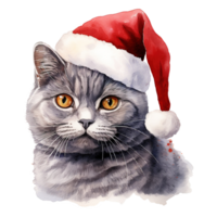 ai generado británico cabello corto gato vistiendo un Papa Noel sombrero. ai generado imagen png