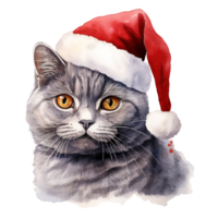 ai généré Britanique cheveux courts chat portant une Père Noël chapeau. ai généré image png