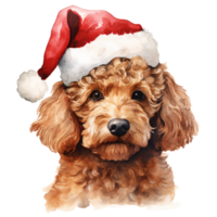 ai genererad pudel hund bär en santa hatt. ai genererad bild png