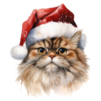 AI generated Persian Cat Wearing a Santa Hat. AI generated image png