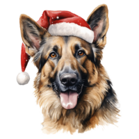 ai généré allemand berger chien portant une Père Noël chapeau. ai généré image png