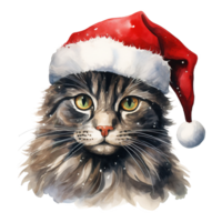 ai generiert inländisch kurzes Haar Katze tragen ein Santa Hut. ai generiert Bild png