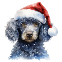 ai genererad pudel hund bär en santa hatt. ai genererad bild png