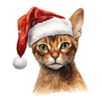 ai generado abisinio gato vistiendo un Papa Noel sombrero. ai generado imagen png