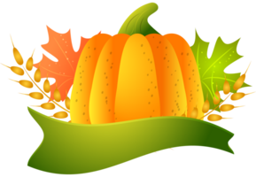 thanksgiving day illustration png