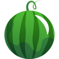 ilustração de fruta melancia png