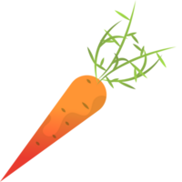 carota piatto illustrazione png