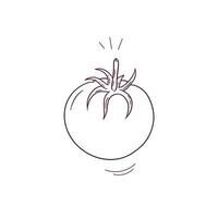 Hand Drawn illustration of tomato icon. Doodle Vector Sketch Illustration