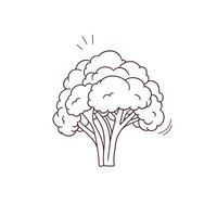 Hand Drawn illustration of broccoli icon. Doodle Vector Sketch Illustration