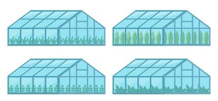 invernaderos con vaso paredes, agrícola edificios cultivo de agrícola cultivos. vector ilustración.