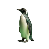 ai gerado pinguim png isolado em transparente fundo