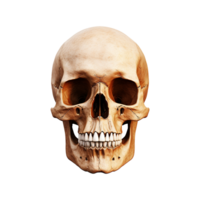AI generated Realistic skull isolated on transparent background png