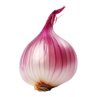 AI generated Fresh onion isolated on transparent background png