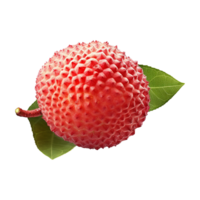 AI generated Lychee isolated on transparent background png