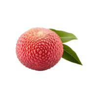 AI generated Lychee isolated on transparent background png