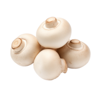 AI generated Champignon mushrooms png isolated on transparent background