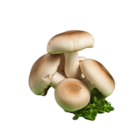 AI generated Champignon mushrooms png isolated on transparent background