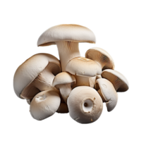 AI generated Champignon mushrooms png isolated on transparent background