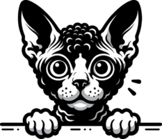 AI generated Cute black and white peeking cat Png.This Design use your own prints and many other task png