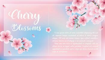 Square cherry blossom template, greeting card, background vector