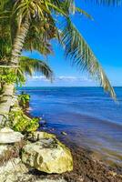 Tropical Caribbean beach clear turquoise water Playa del Carmen Mexico. photo