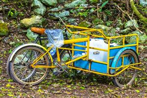 alquilar un bicicleta triciclo paseo mediante el selva coba restos. foto