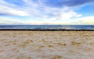 vistoso dorado puesta de sol amanecer tropical caribe palma arboles nubes México. foto