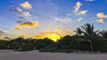 Awesome sunset at tropical Caribbean beach Playa del Carmen Mexico. photo