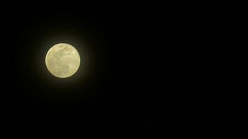 Telephoto view, Moon with blue sky during dusk, Timelapse video