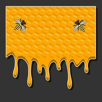 Drop of bee honey drip from hexagonal honeycombs filled with golden nectar vector