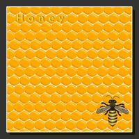 Illustration on theme for label of sugary flowing down honey in honeycomb with bee vector