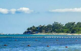 Seaweed Sargazo catcher net caribbean beach water Playa del Carmen Mexico. photo