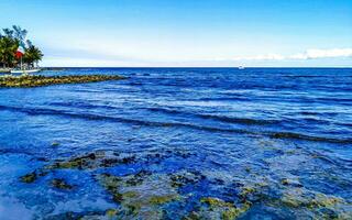 Stones rocks corals turquoise green blue water on beach Mexico. photo