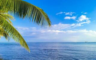 Tropical Caribbean beach clear turquoise water Playa del Carmen Mexico. photo