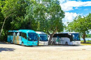 Coba Quintana Roo Mexico 2023 Parking lot parked tourist busses vans cars Coba Ruins Mexico. photo