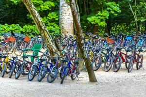 Coba Quintana Roo Mexico 2023 Rent a bike tricycle ride through the jungle Coba Ruins. photo