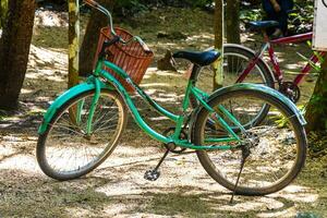 Coba Quintana Roo Mexico 2023 Rent a bike tricycle ride through the jungle Coba Ruins. photo