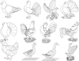 set of bird line art design on a white background vector