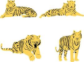 set of tiger vector design on a white background