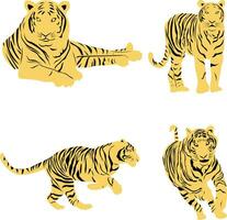 conjunto de Tigre vector diseño en un blanco antecedentes