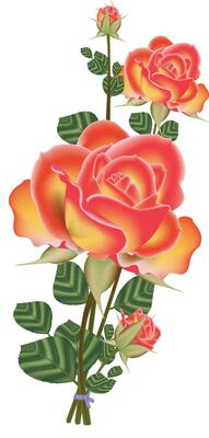 illustration of rose vector design on a white background