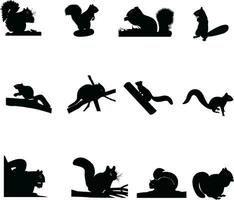 set of beautiful squirrel silhouette design vector