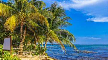 tropical caribe playa cenote punta esmeralda playa del carmen México. foto