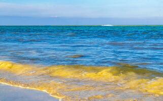 Tropical Caribbean beach clear turquoise water Playa del Carmen Mexico. photo