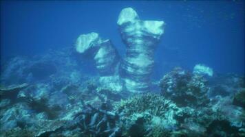 un sous-marin vue de une corail récif avec une statue dans le Contexte video