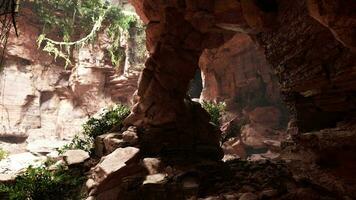 une la grotte rempli avec rochers et luxuriant végétation video