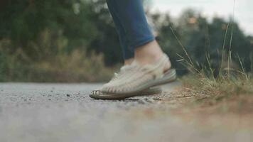 oefening en gezond concept, jong Aziatisch loper vrouw rennen in de park in sportkleding ochtend- tijd, selectief focus video